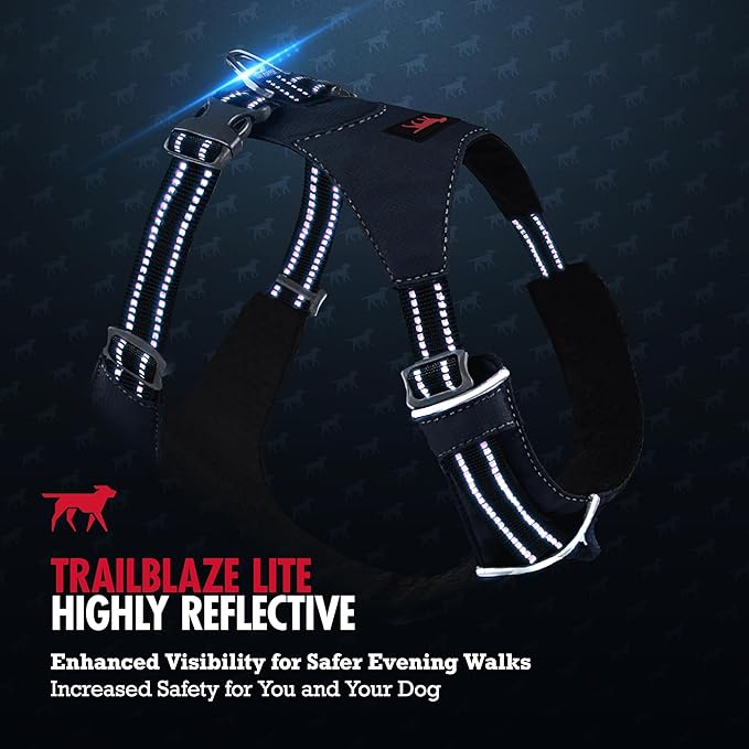 Tuff Pupper All-Day Wear Dog Harness | for Walking, Trail Running, Hiking | Front & Back Leash Clips | Reflective Trim | Easy On/Off Buckles | Lightweight Breathable | No Pull Design (Small, Blue)