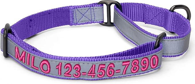 Pawtitas Customized Martingale Dog Collar Reflective Reflective Dog Collar Embroidered Personalized Name Phone Number Adjustable for Puppies Small Medium Large Size Dogs Medium Purple