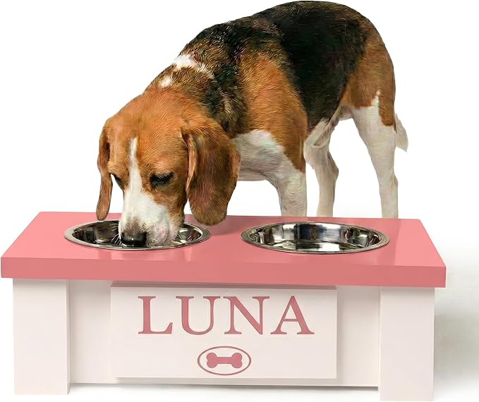 GTW Personalized Elevated Dog Bowl Stand for Large, Medium, Small, X-Small Dogs - Stainless Steel Food and Water Bowls - Raised Dog Dish with Internal Storage (X-Small, Magenta)