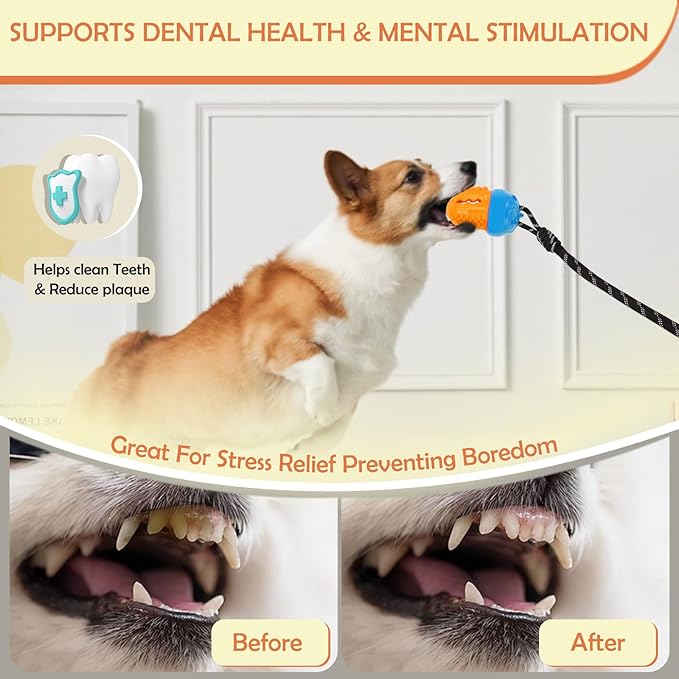 Indestructible Dog Toys-Interactive Suction Cup Tug of War Toy for Aggressive Chewers,Dog Puzzle & Enrichment Toys to Keep Dogs Busy,Blue Orange