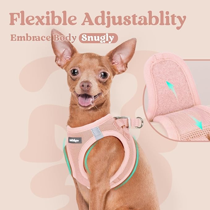 rabbitgoo Small Dog Harness, Step-in Soft Mesh Puppy Vest with Safety Buckle, Breathable Reflective Pet Harness for Large Dogs, Pink XXL