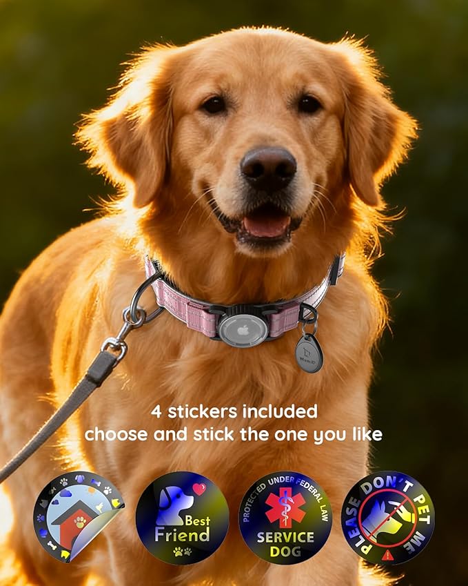 Upgrade Airtag Dog Collar,with IPX8 Waterproof AirTag Holder | Reflective Ultra-Durable | Soft Padded | Lock Buckle | Heavy Duty | Fit Small Medium Large Dogs（Pink1，L(17"～23")）