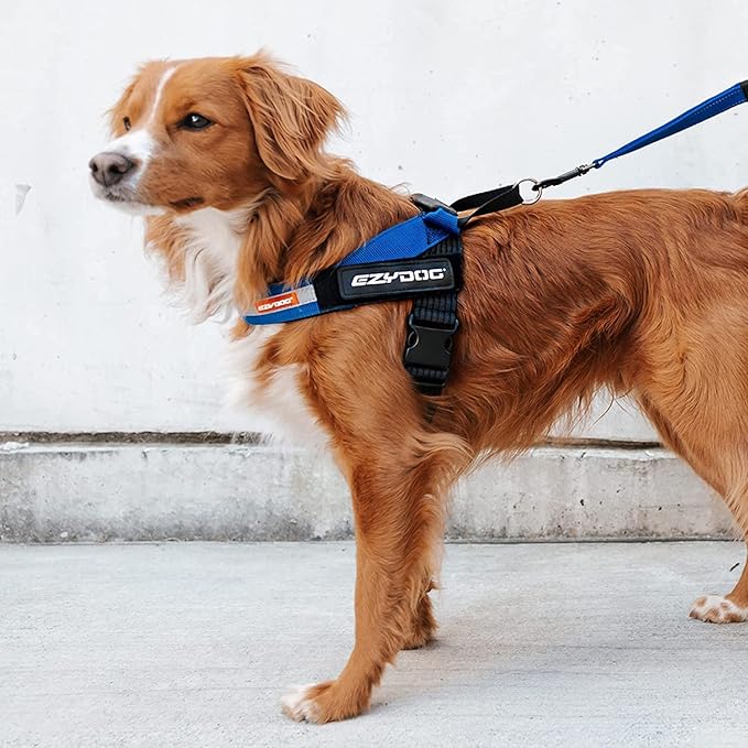 EzyDog Express Dog Harness - Adjustable Dog Harness for Large, Medium, and Small Dogs with Padded Ergonomic Anti-Chafing Design, Grip Handle, & Easy Side Buckle (XS, Blue)