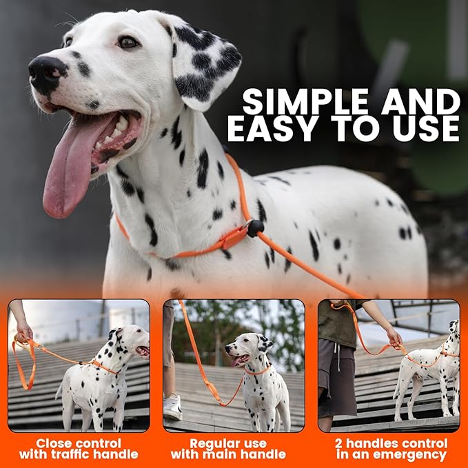 Howgo Dog Slip Lead Dog Leash, Training Lead, No-Pull Slip Leash and Collar, Heavy Duty & Durable Nylon, Padded Handle, for All Breeds (MintGreen, 3.6FT)