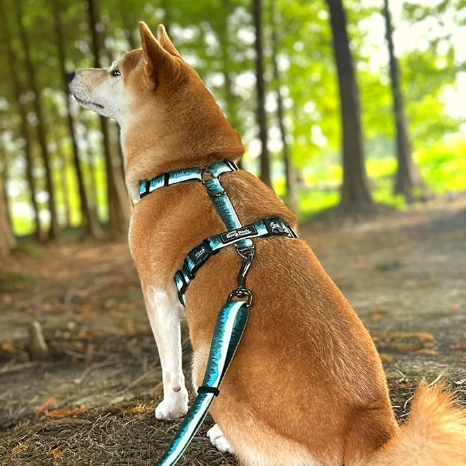 Casual H Dog Harness, No-Pull Pet Harness with 2 Leash Clips, Adjustable Soft Padded Dog Vest for Small, Medium, and Large Dogs, Forest Green Gradiant Color (S)