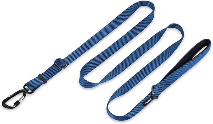 Hyhug Nylon Adjustable 4-6ft Dog Leash with Soft Neoprene Padded Handle, Durable Heavy Duty Leash with Easy-to-Use Bolt Snap, Ideal for Jogging Outdoor