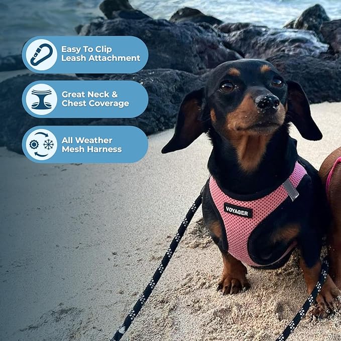 Best Pet Supplies - All Weather Mesh / Plush, Reflective, No Pull Harness for Small, Medium Dogs, Cats - Secure with Hook & Loop Fastener, Buckle, Double D-Rings - Pink/Black Trim, S
