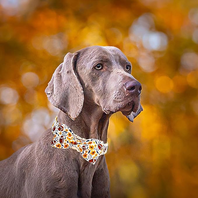 Elegant little tail Fall Dog Collar, Orange Floral with Rugby Print Pet Collars with Bow Puppy Collar Female or Male Cotton Adjustable Collars for Small Medium Large Dogs