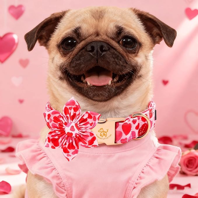 Elegant little tail Valentine's Dog Collar - Pink Red Heart Dog Collars Flower Pet Collars with Sturdy Metal Buckle Cute Flower Puppy Adjustable Collar for X-Large Dogs