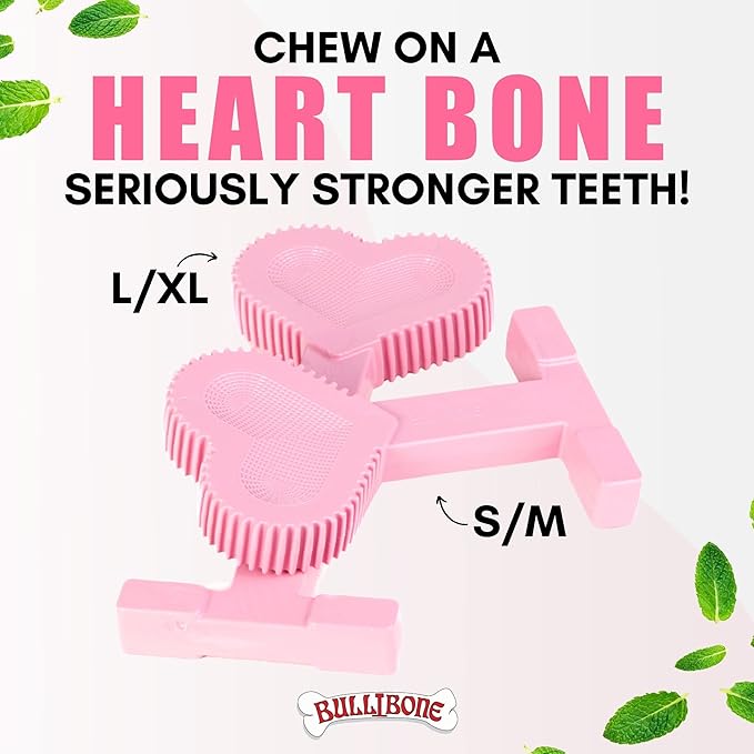 Bullibone Nylon Dog Chew Toy for Aggressive Chewers - Dental Hygiene Bone with Peppermint Flavor, Durable Tough Chew Toys for Small Dogs, Indestructible Dog Bone - 2 Pack