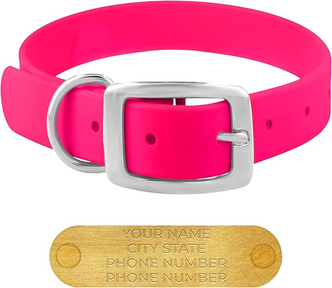 Regal Dog Products Large Pink Waterproof Dog Collars with Custom Engraved Name Plate | Vinyl Coated, Anti, Easy to Clean Personalized Biothane Dog Collar - Other Sizes for Small & Medium Dogs