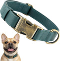 Leather Dog Collar Silicone Soft Flexible Waterproof Odor-Proof Durable Thick Classic Adjustable Pet Puppy Collar Dog Collars for Small Dogs(Green, Small (9-14" Neck))