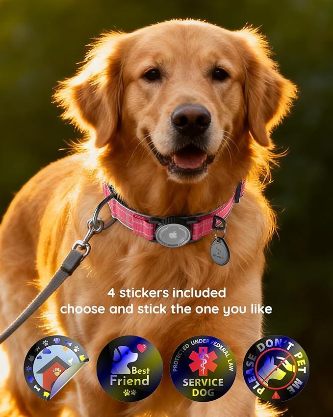 Upgrade Airtag Dog Collar,with IPX8 Waterproof AirTag Holder | Reflective Ultra-Durable | Soft Padded | Lock Buckle | Heavy Duty | Fit Small Medium Large Dogs（Rose1，L(17"～23")）
