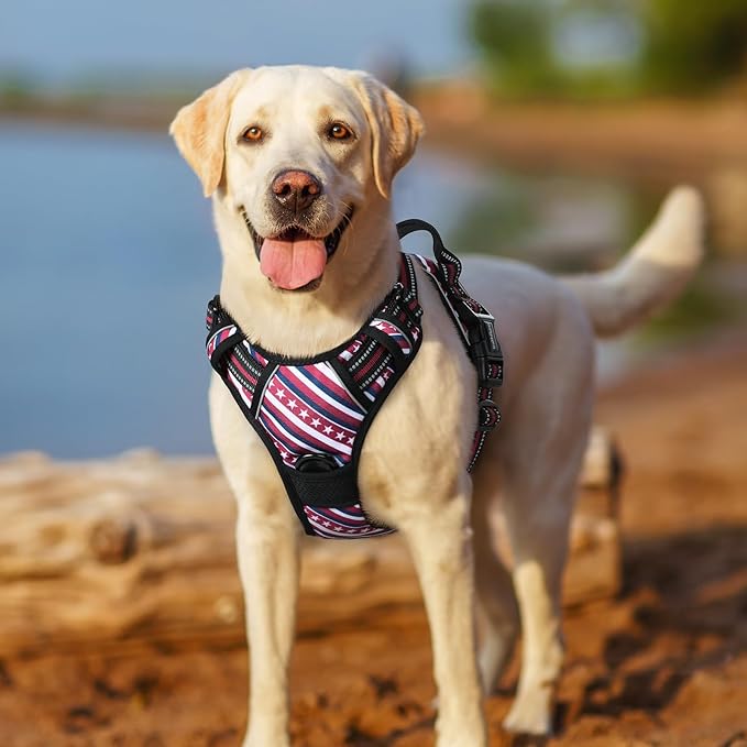 rabbitgoo Dog Harness No Pull with 2 Leash Clips, Adjustable Soft Padded, Reflective Oxford No Choke Pet Vest with Easy Control Handle for Large Dogs, Red Stripe, XL