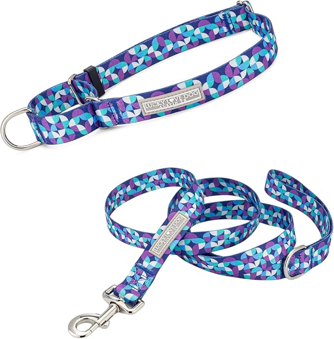 Lucky Love Dog Martingale Dog Collar & Leash - Adjustable, No-Slip, Durable, Comfortable, Soft Webbing, & Stylish Patterned Collar & Leash Set for Male and Female Dogs - Jasper Combo, Medium