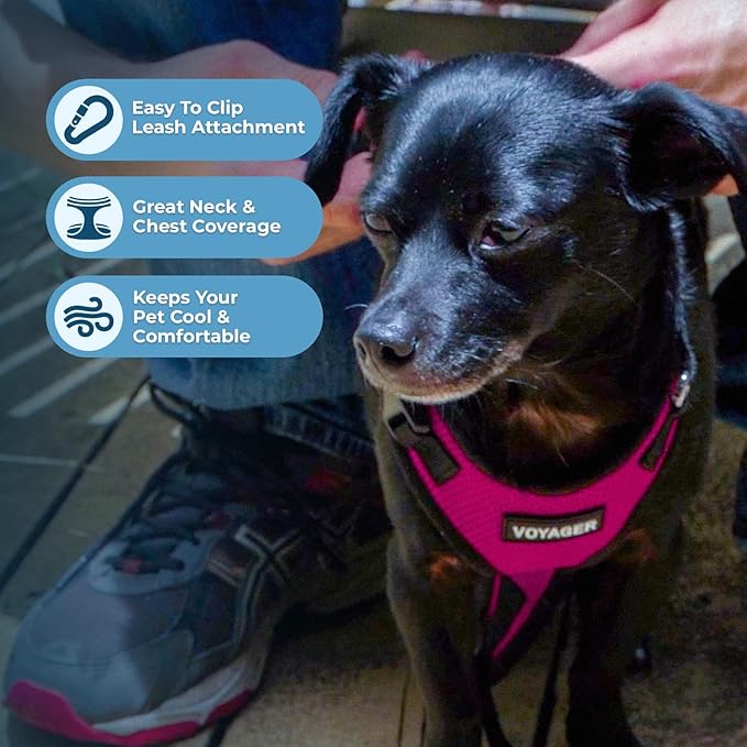 Voyager Step-in Pet Harness - All Weather Mesh, Adjustable Step in Harness for Cats and Dogs by Best Pet Supplies - Fuchsia/Black Trim, M