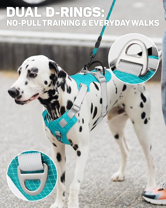 TagME No Pull Dog Harness with 2 Leash Clips,Lightweight & Visible for All-Day Walking,No Choke Pet Vest Includes AirTag Holder for Extra Large Dogs,Teal