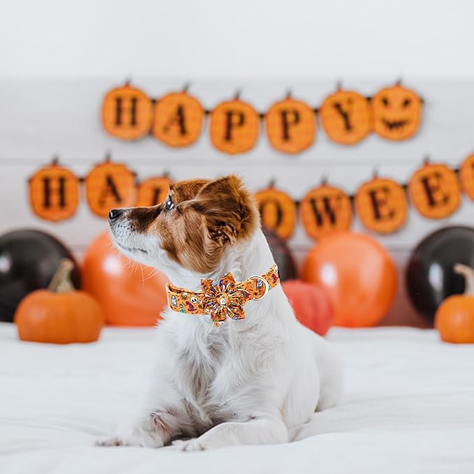 Elegant Little Tail Halloween Collar, Orange Pumpkin Dog Collar with Flower Girl Boy Pet Collar, Soft Durable for X-Large Dogs
