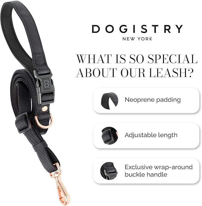 The DOGISTRY - City Dog Leash - Black - Award-Winning Adjustable Hands-Free Design - Luxe Rose Gold Hardware & Style-Forward Functionality - Small