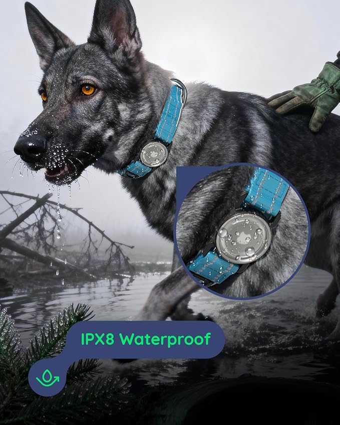 Upgrade Airtag Dog Collar,with IPX8 Waterproof AirTag Holder | Reflective Ultra-Durable | Soft Padded | Lock Buckle | Heavy Duty | Fit Small Medium Large Dogs（Blue1，M(15"～19")）