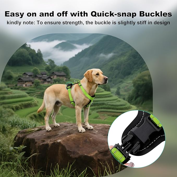 Plutus Pet Adjustable No Pull Dog Harness with Leather Accents, Heavy Duty Reflective Nylon Vest for Training, Hiking, Easy Walk Harness for Small, Medium, Large Dogs (Green, M)