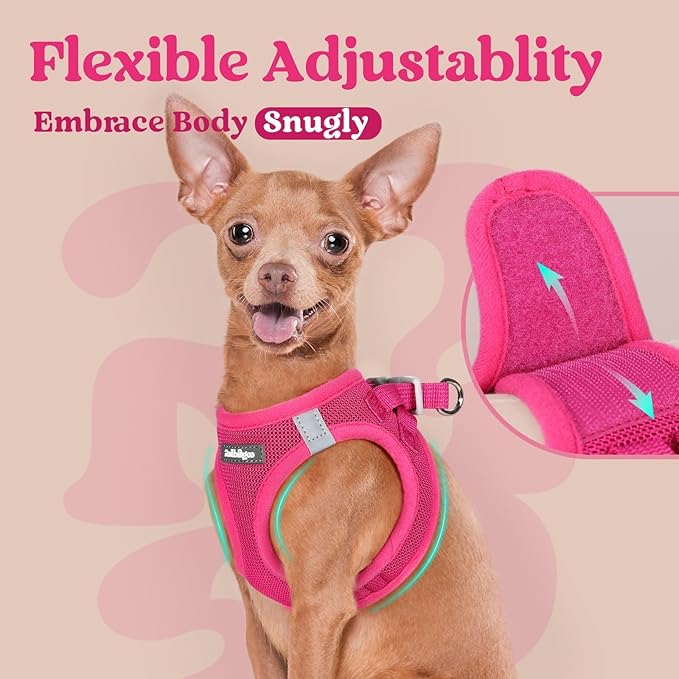 rabbitgoo Small Dog Harness, Step-in Soft Mesh Puppy Vest with Safety Buckle, Breathable Reflective Pet Harness for Small Medium Dogs, Rose Red XL