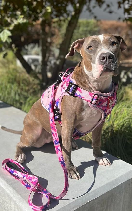 Boss Dog Tactical Leash, Pink Camo, 6 FT