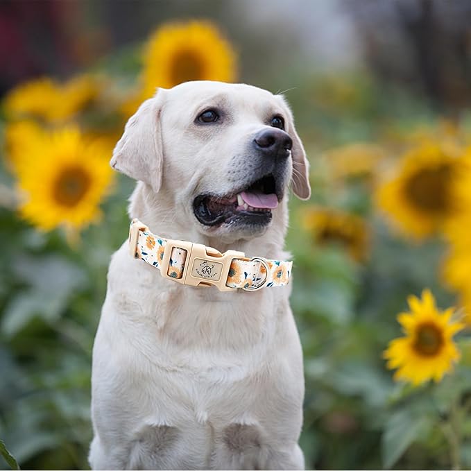 Elegant little tail Dog Collar with Leash, Sunflower Print Pet Collar Leash Adjustable Collar for Small Medium Large Dogs Soft Puppy Collars with Quick Release Buckle Girl Boy Dog Collars