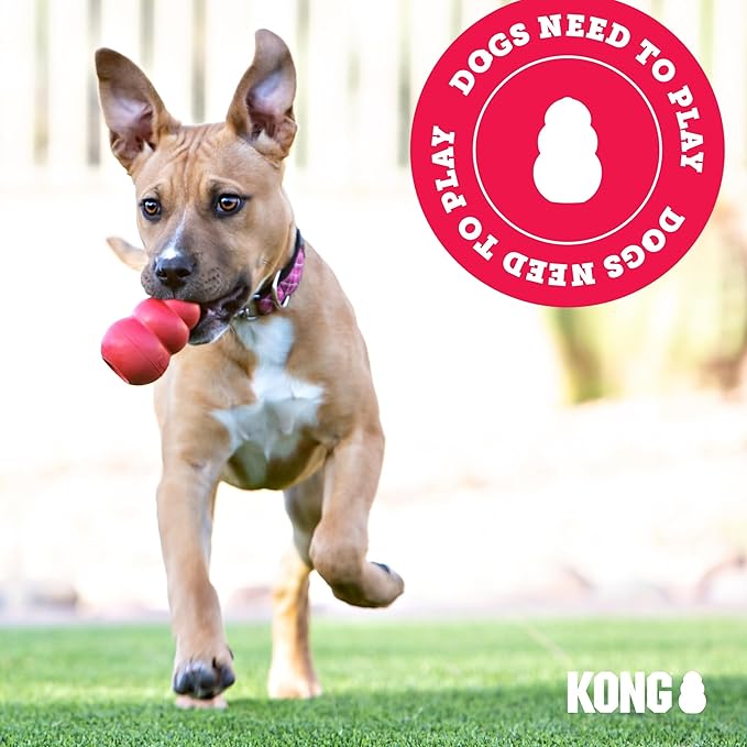 KONG Maxx Bone Md/Lg
