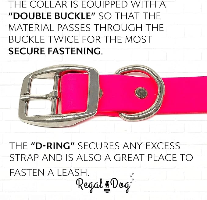 Regal Dog Products Small Pink Waterproof Dog Collars with Custom Engraved Name Plate | Vinyl Coated, Anti, Easy to Clean Personalized Biothane Dog Collar - Other Sizes for Medium & Large Dogs