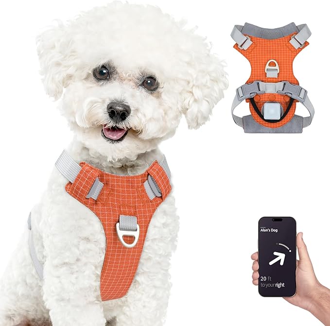 TagME No Pull Dog Harness with 2 Leash Clips,Lightweight & Visible for All-Day Walking,No Choke Pet Vest Includes AirTag Holder for Small Dogs,Flare Orange