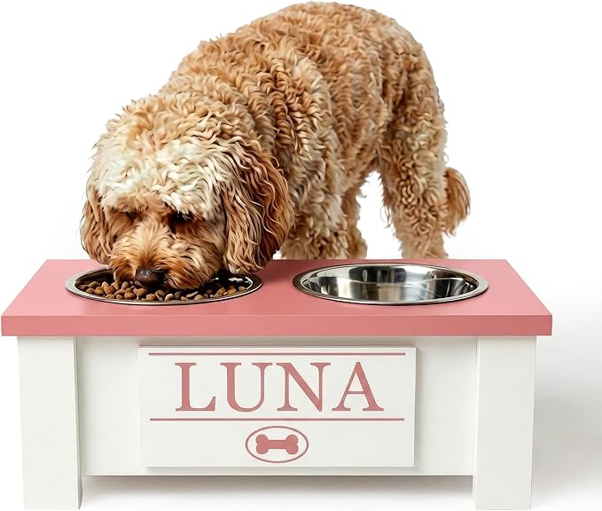 GTW Personalized Elevated Dog Bowl Stand for Large, Medium, Small, X-Small Dogs - Stainless Steel Food and Water Bowls - Raised Dog Dish with Internal Storage (Small, Magenta)