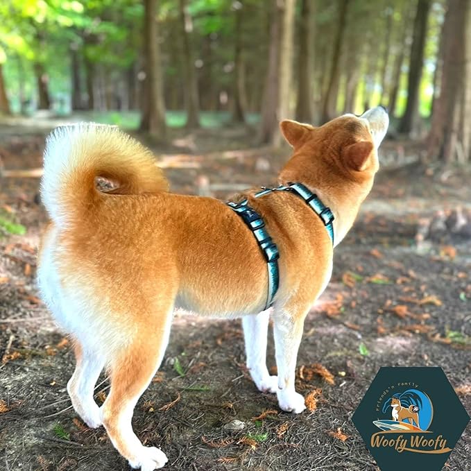 Casual H Dog Harness, No-Pull Pet Harness with 2 Leash Clips, Adjustable Soft Padded Dog Vest for Small, Medium, and Large Dogs, Forest Green Gradiant Color (M)