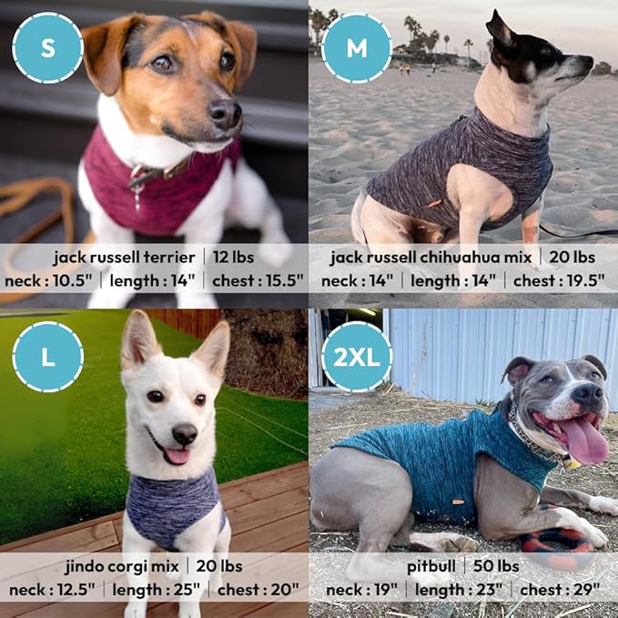 Gooby Zip Up Fleece Dog Sweater - Fuchsia Wash, X-Large - Warm Pullover Fleece Step-in Dog Jacket with Dual D Ring Leash - Winter Small Dog Sweater - Dog Clothes for Small Dogs Boy and Medium Dogs