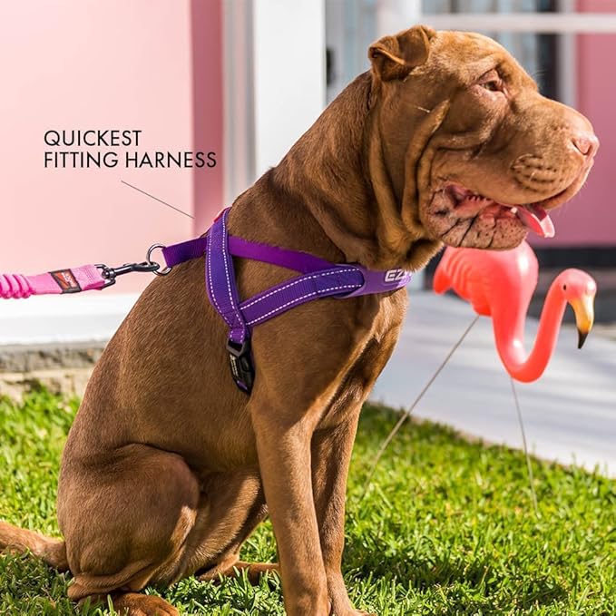 EzyDog Quick Fit Dog Harness – No Pull Harness for Training, Everyday Walking, and Easy Control - Adjustable Fit, Reflective, and Padded (Medium, Blue)