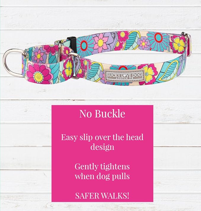 Lucky Love Dog Martingale Collar and Leash Set, Premium No Slip Martingale Collar for Dogs, Great for Whippets, Greyhounds, and More (Caroline, Medium - Combo)