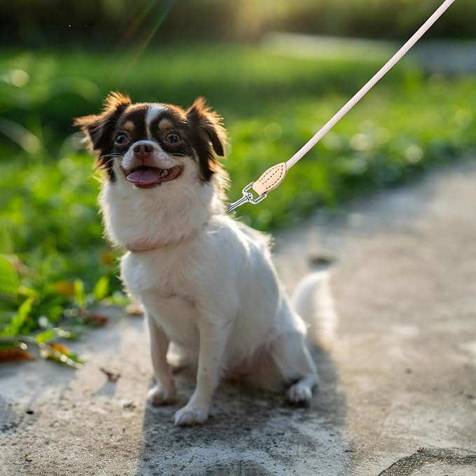 Mile High Life Small Dog Leash, Thin Lightweight Reflective Rope Leash with Genuine Leather Connection, Great for Small Medium Dogs (Pink, 48 Inch-1/3)