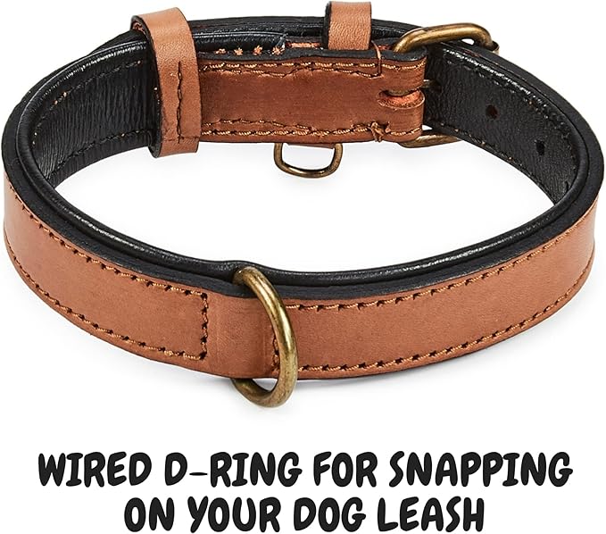 Real Leather Dog Collar Padded Soft Interiors with Premium Vintage Look Handcrafted Heavy Duty with Tag Ring for Small Medium and Large Pets (Small (1" Wide for 10.75" - 13.75" Neck), Cognac)