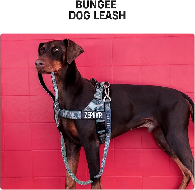 DF Co. Bungee Dog Leash | Strain Free & Shock Resistant for Control | Neoprene Padded Handle, Heavy-Duty Carabiner Clip, and D-Ring | Red, Size Regular