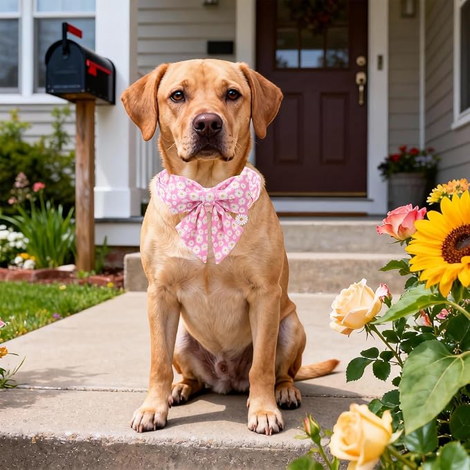 DOGWONG Spring Dog Collar with Sailor Bow, Soft Comfortable Adjustable Cute Pink Daisy Collar Flower Dog Collars for Small Dogs, S