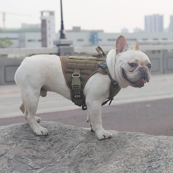 ICEFANG Tactical Dog Harness, Small Size,2X Metal Buckle,Working Dog MOLLE Vest with Handle,No Pulling Front Leash Clip,Hook and Loop Panel (Brown,S (Pack of 1))