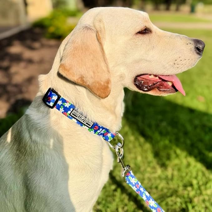 Lucky Love Dog - Easy Click Buckle Dog Collar with Leash Set Combo, Durable & Comfortable for Male & Female Dogs, Pet Collar for Large Dogs, Secure Fit - Lilian Combo, Large