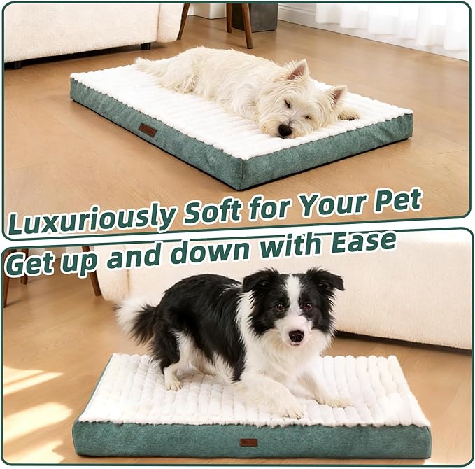 Orthopedic Dog Bed with Firm High-Density Egg Crate Foam, Machine Washable Cover & Non-Slip Bottom for Medium Breeds (Green, 29" L x 18" W x 3" H)