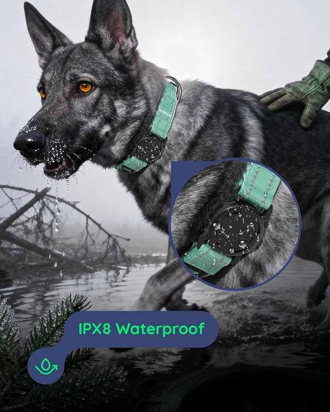 Upgrade Airtag Dog Collar,with IPX8 Waterproof AirTag Holder | Reflective Ultra-Durable | Soft Padded | Lock Buckle | Heavy Duty | Fit Small Medium Large Dogs（Teal，S(12"～15")）