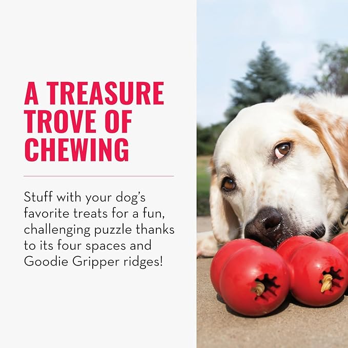 KONG Goodie Ribbon - Stuffable Natural Rubber Dog Toy - with Four Fillable Goodie Grippers for Enrichment Play - Bone-Shaped Chew Toy - for Small Dogs