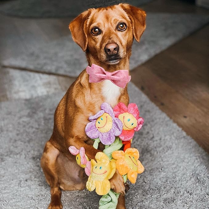 Elegant little tail Pink Colorful Dog Collar, Comfortable Dog Collar with Bow Adjustable Soft Bow tie Dog Collars for Medium Dogs