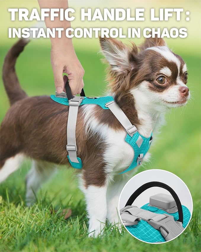 TagME No Pull Dog Harness with 2 Leash Clips,Lightweight & Visible for All-Day Walking,No Choke Pet Vest Includes AirTag Holder for Puppy,Teal
