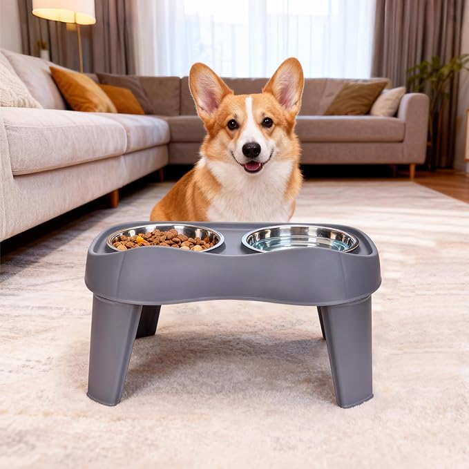 Petizer Large Sized Elevated Dog Bowls, No Spill Raised Height Stand Dog Feeder with 2 Thick 60OZ Stainless Steel Food and Water Bowl Set, Grey, for Medium Large, Food Dishes with Non-Slip Feet
