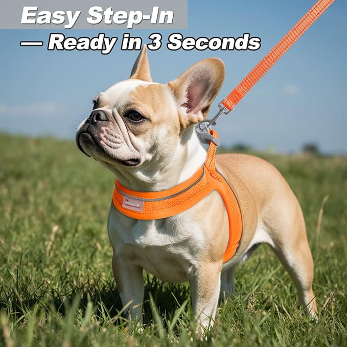 Dog Harness and Leash Set,Step in Small Sized Dog Harness,Soft Mesh,No-Chock,Reflective Adjustable,Secure with Hook & Loop Fastener,Puppy Vest for Small,Medium Dogs(Orange,XXS)