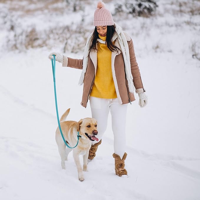 Dogline Biothane Slip Dog Leash - for Small, Medium and Large Dogs - Odor Free Slip Lead, Heavy Duty and Durable Material Kennel Lead - Sky Blue - 7ft L x 5/8in W